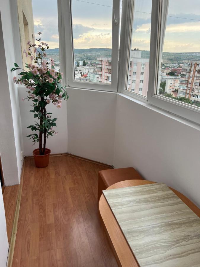 Aparthotel Aurel Vlaicu City Center 클루지나포카 외부 사진