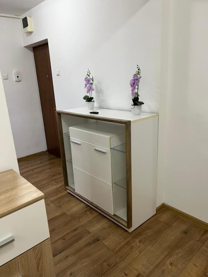 Aparthotel Aurel Vlaicu City Center 클루지나포카 외부 사진