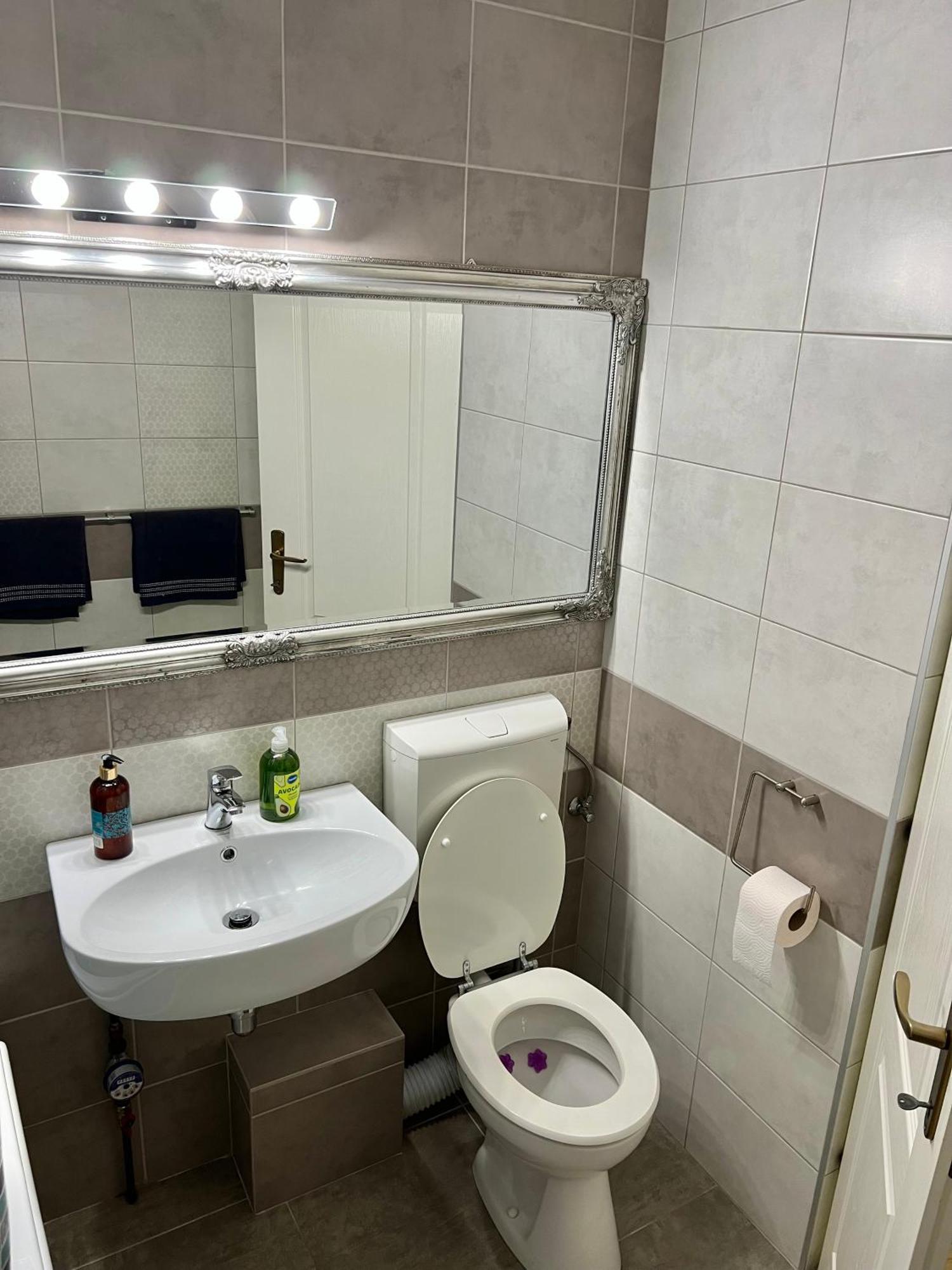 Aparthotel Aurel Vlaicu City Center 클루지나포카 외부 사진