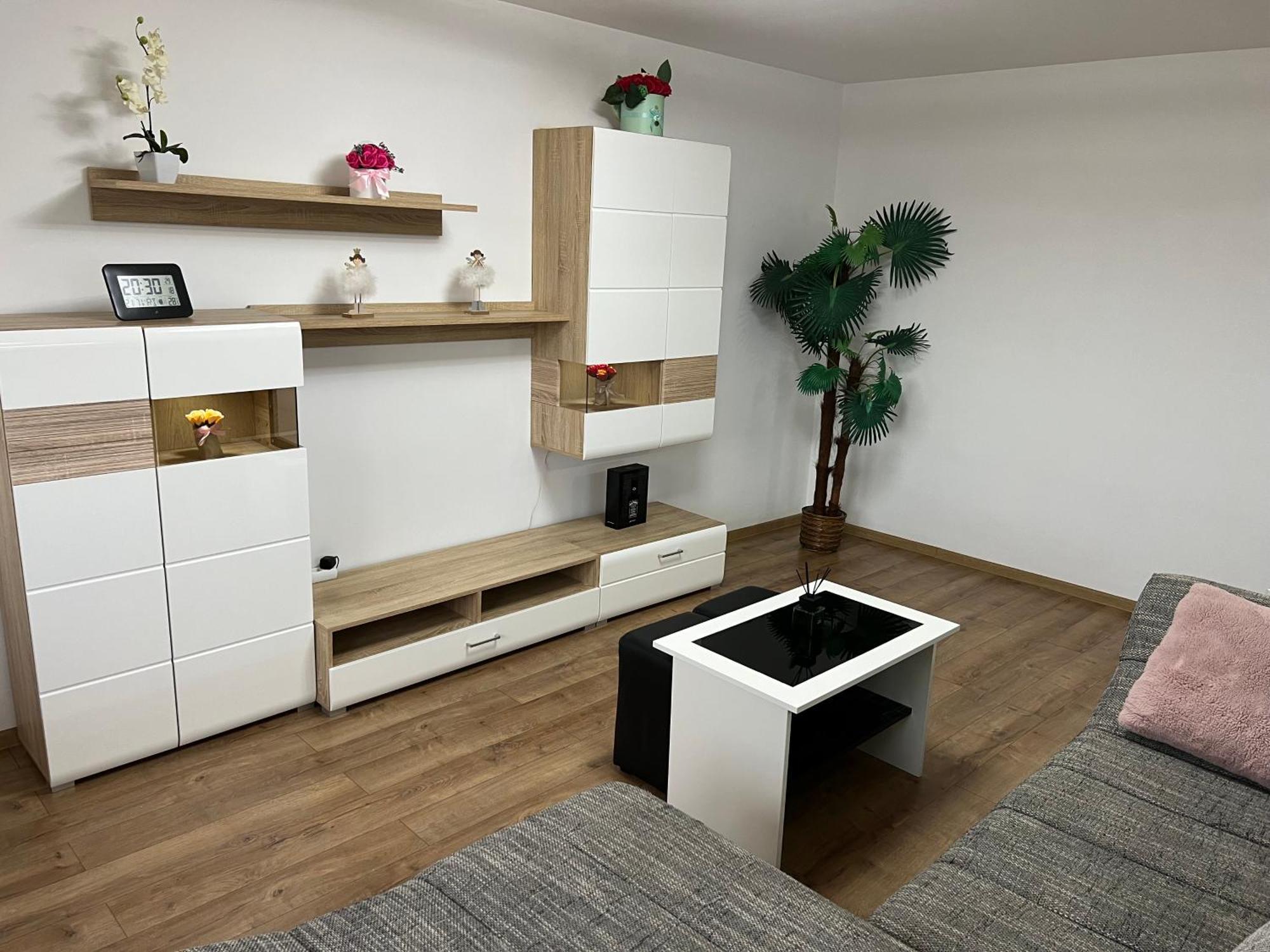Aparthotel Aurel Vlaicu City Center 클루지나포카 외부 사진